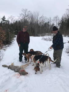 Harvesting game in Maine's wilderness!